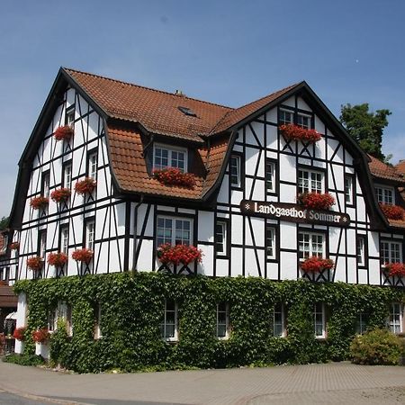 Gasthof Sommer Lautertal  Экстерьер фото